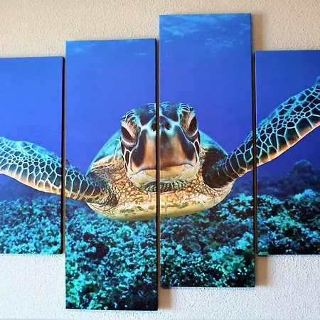Tortuga Flat لقنت