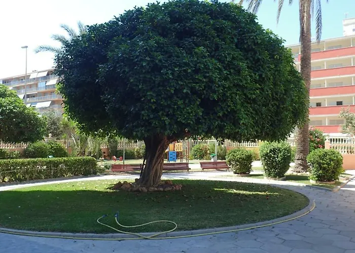 Tortuga Flat * Alicante