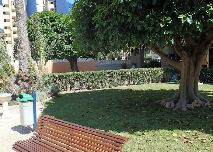 Tortuga Flat Apartamento Alicante