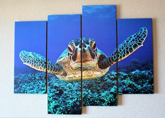 Tortuga Flat Alicante