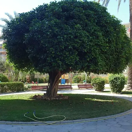 Tortuga Flat * Alicante