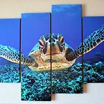 Tortuga Flat 알리칸테